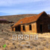 Bodie | Album